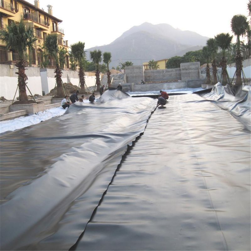 Hard Black Liner Hdpe Wasserdichtes Teich Liner Geomembran Polyethylen Fabrikpreis zum Verkauf
