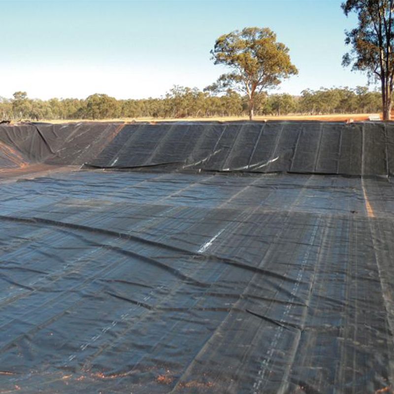 Hard Black Liner Hdpe Wasserdichtes Teich Liner Geomembran Polyethylen Fabrikpreis zum Verkauf