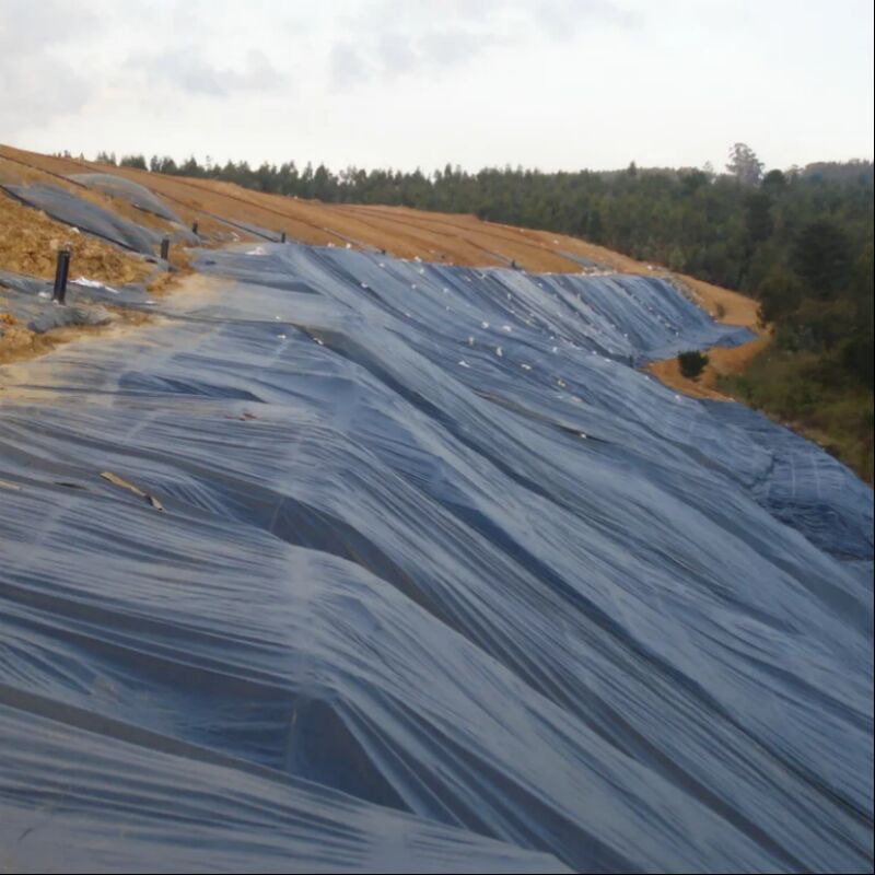 Wasserdichte, glatte Oberflächen-Teichfolien für die Landwirtschaft, Fisch- und Garnelenzucht, künstliche Seen, Deponien, HDPE-Geomembran